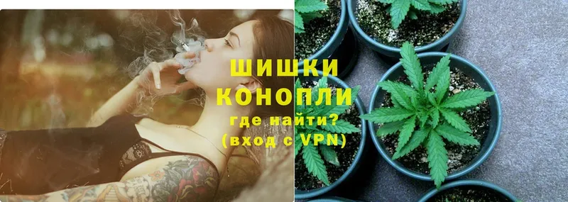 где можно купить наркотик  Дятьково  Шишки марихуана семена 